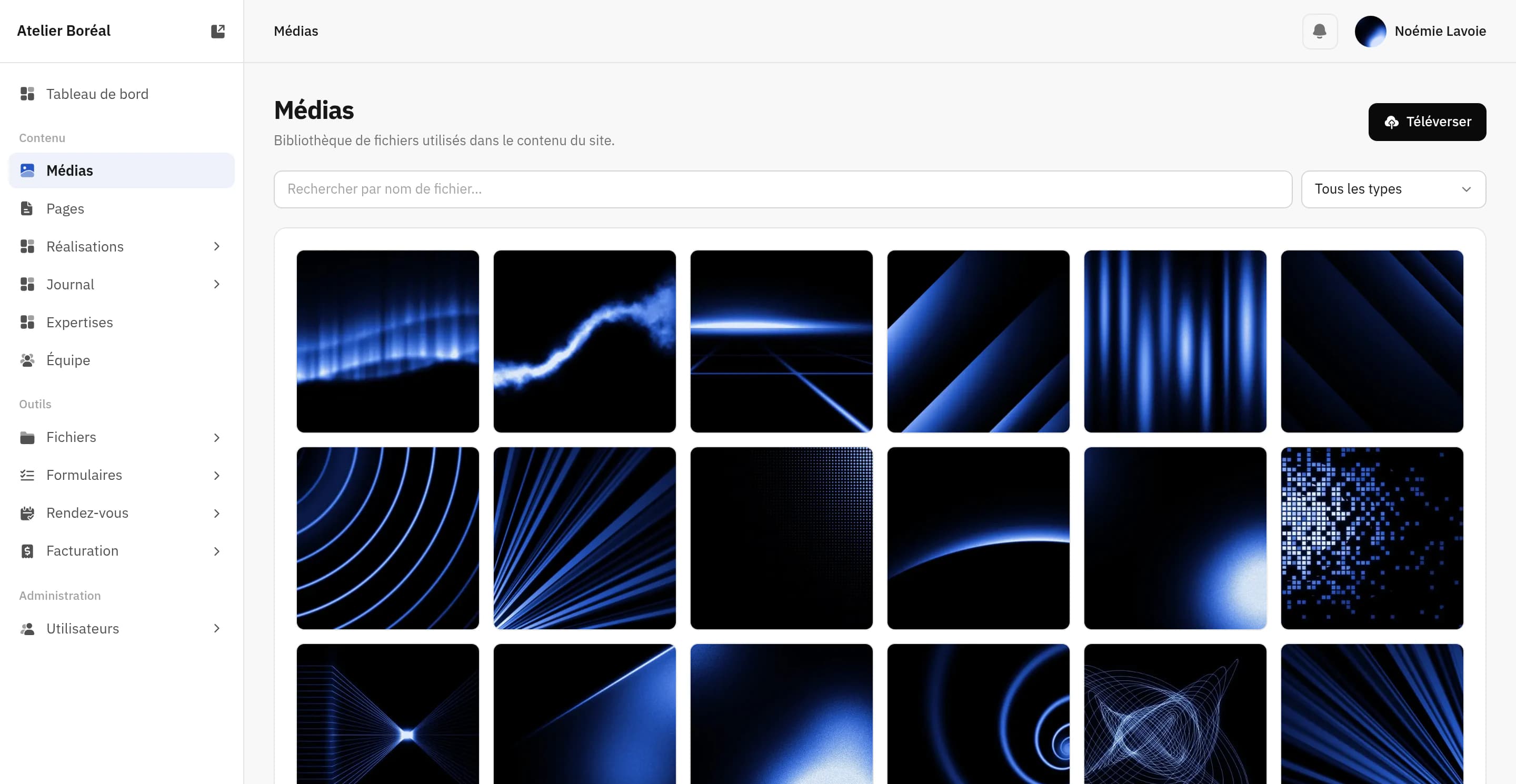 La médiathèque, sa grille de vignettes, sa recherche et son filtre par type